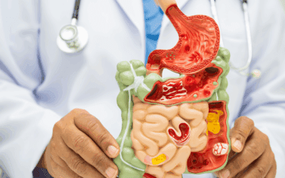 The Microbiome Connection: how gut health impacts your bones